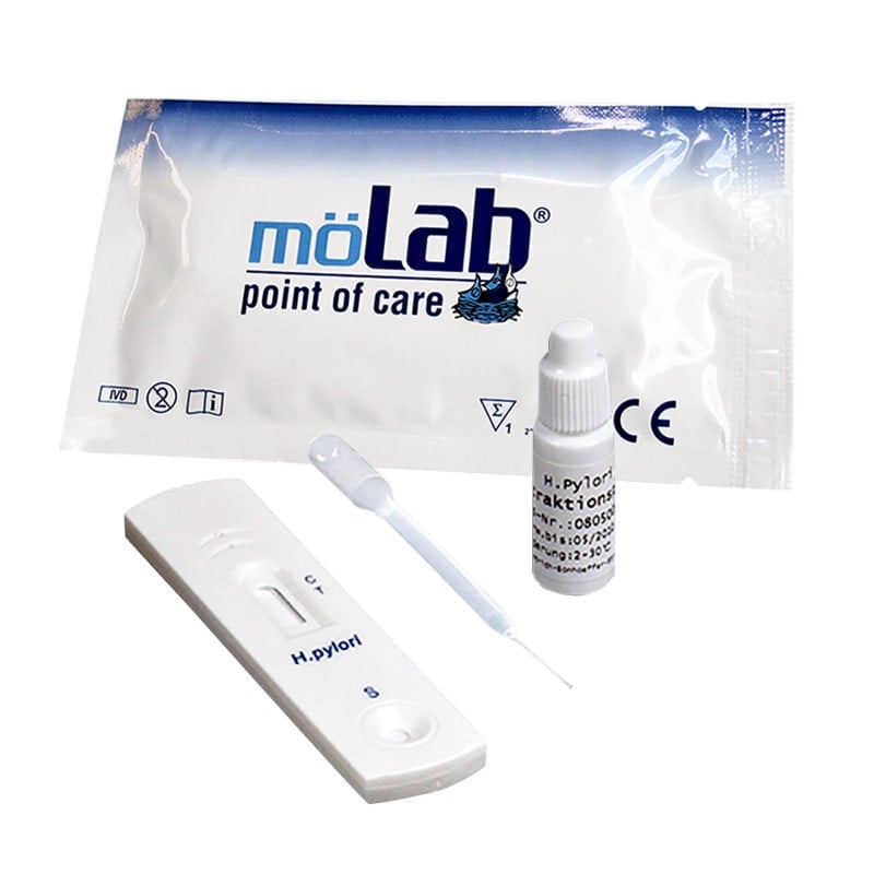 Helicobacter pylori